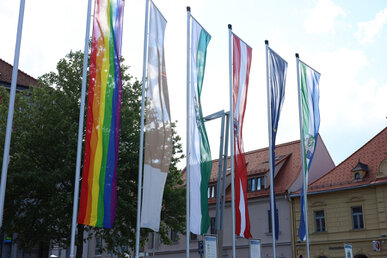 Galerie die neue Wirklichkeit